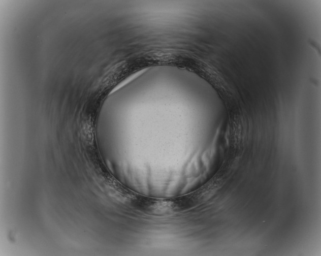 X0000101650609200807241356