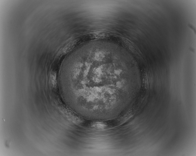 X0000101650610200807241356