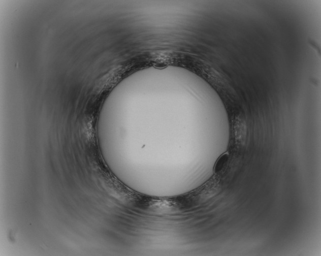 X0000101650611200807241356