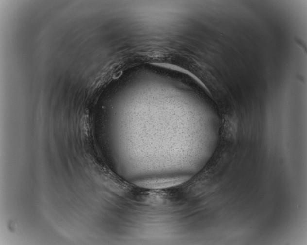 X0000101650612200807241356