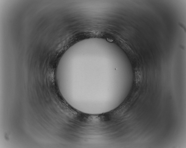 X0000101650613200807241356