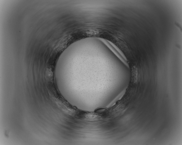 X0000101650614200807241356