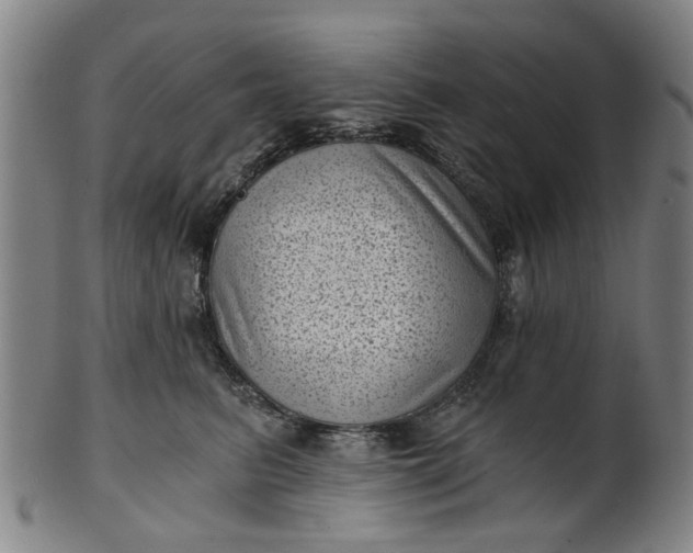 X0000101650615200807241356