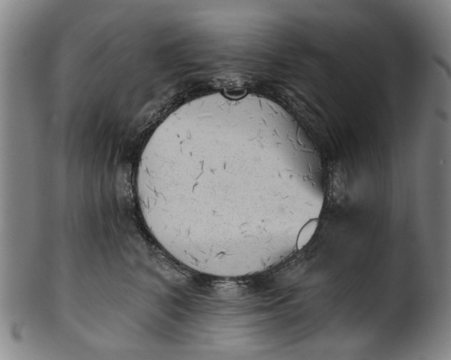 X0000101650616200807241356