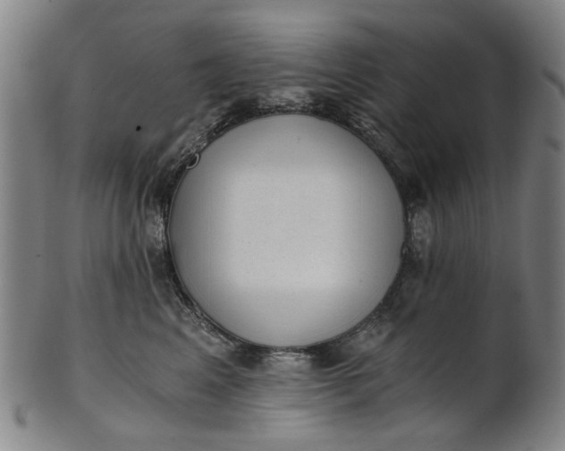 X0000101650617200807241356