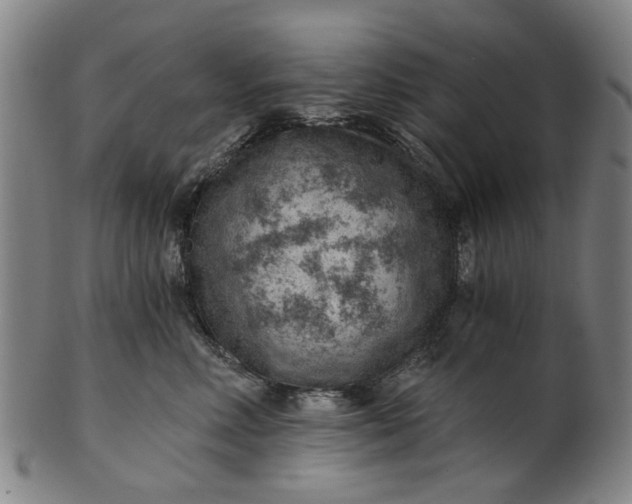 X0000101650618200807241356