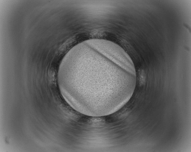 X0000101650619200807241356