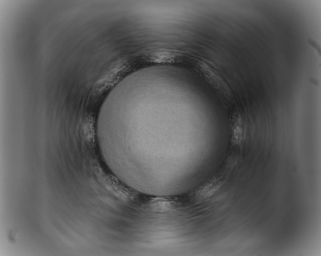 X0000101650620200807241356