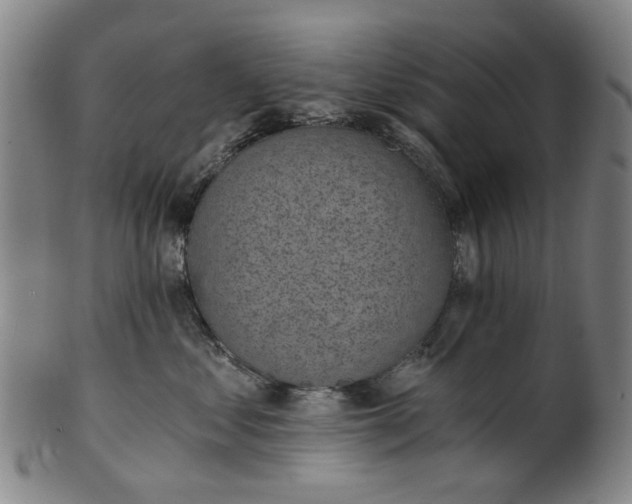 X0000101650621200807241356