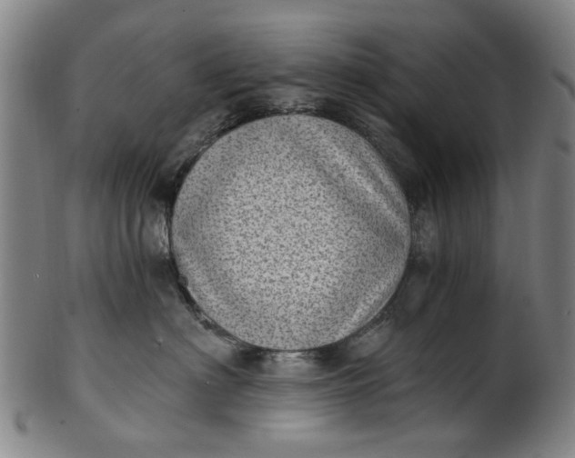 X0000101650622200807241356