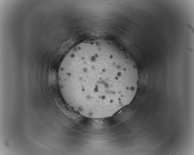 X0000101650623200807241356