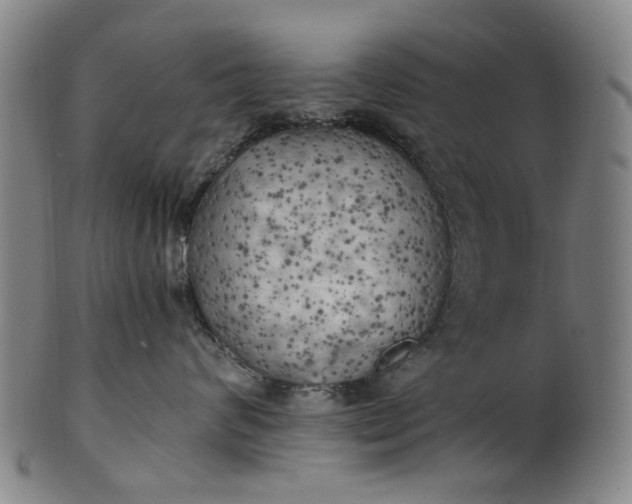 X0000101650624200807241356