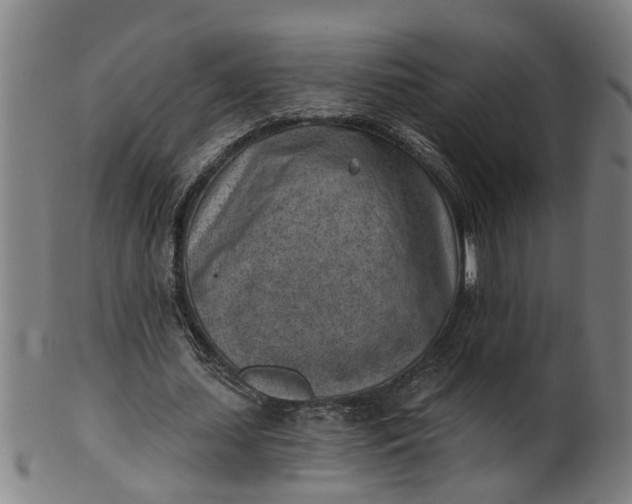 X0000101650627200807241355