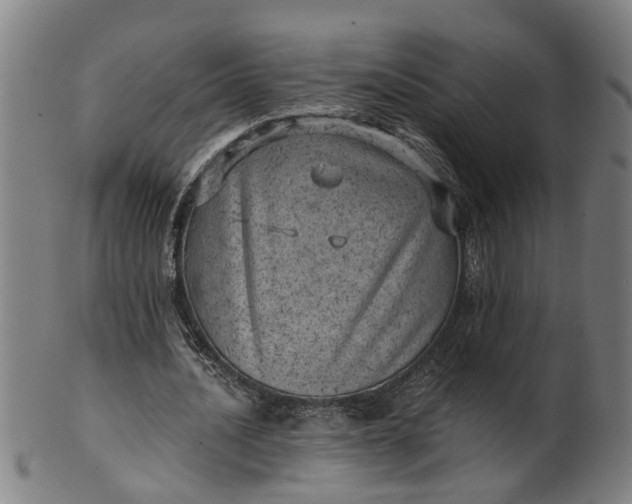 X0000101650628200807241355