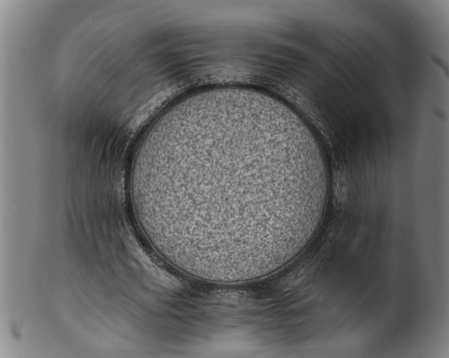 X0000101650629200807241355