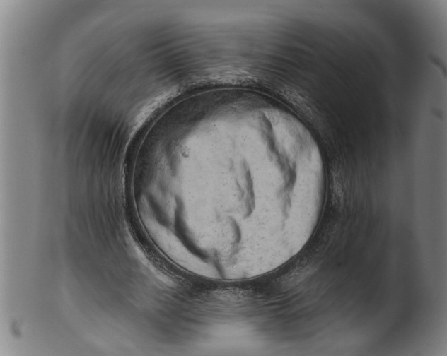 X0000101650630200807241355