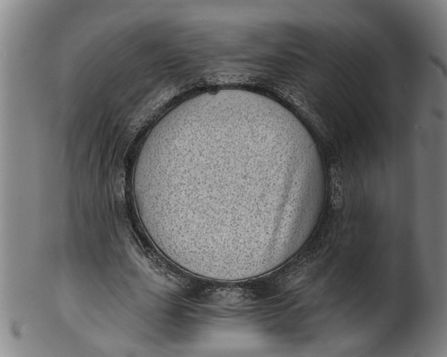 X0000101650631200807241355