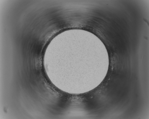 X0000101650632200807241355