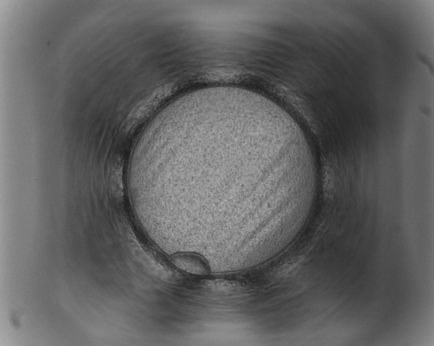 X0000101650633200807241355