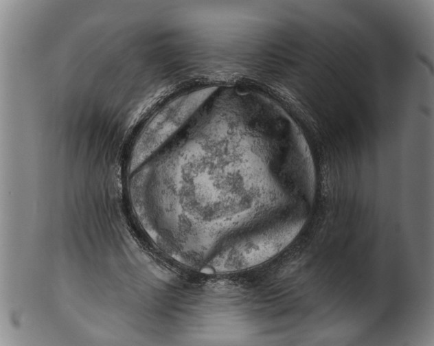 X0000101650634200807241355