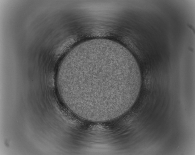 X0000101650635200807241355