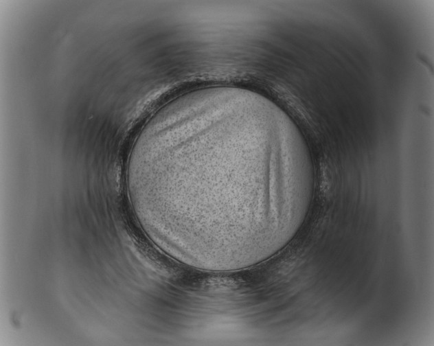 X0000101650636200807241355