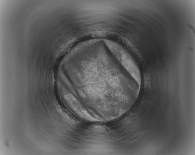 X0000101650637200807241355