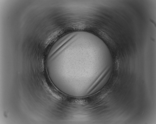 X0000101650638200807241355