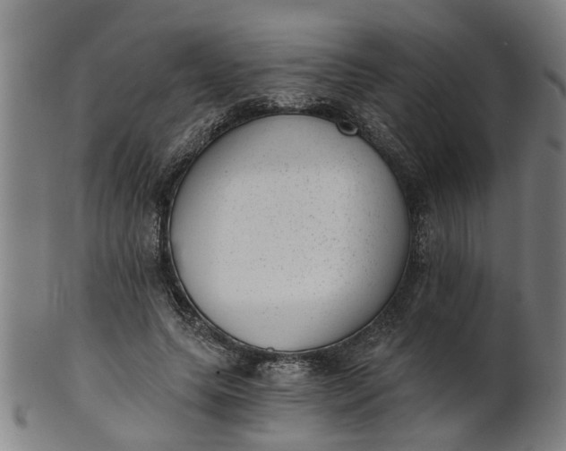 X0000101650639200807241355