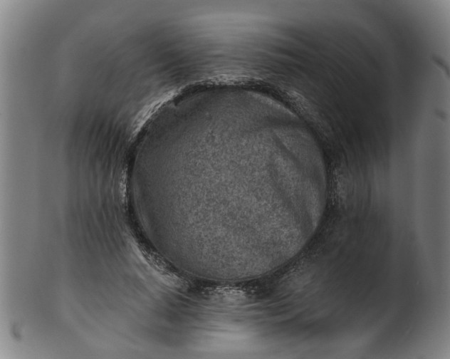 X0000101650640200807241355