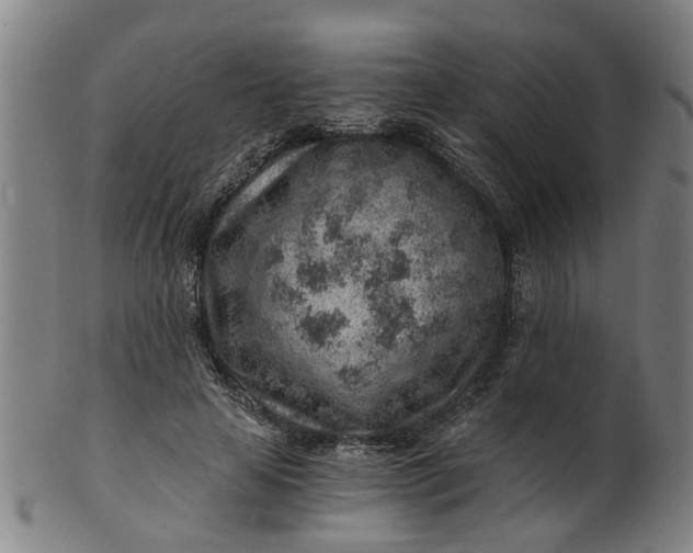 X0000101650641200807241355