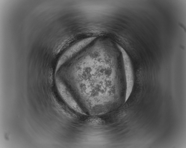 X0000101650642200807241356