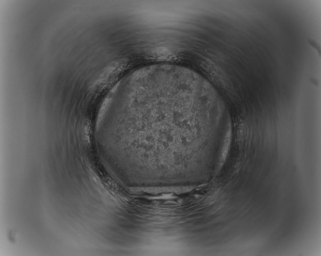 X0000101650643200807241356