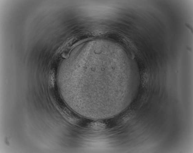 X0000101650644200807241356