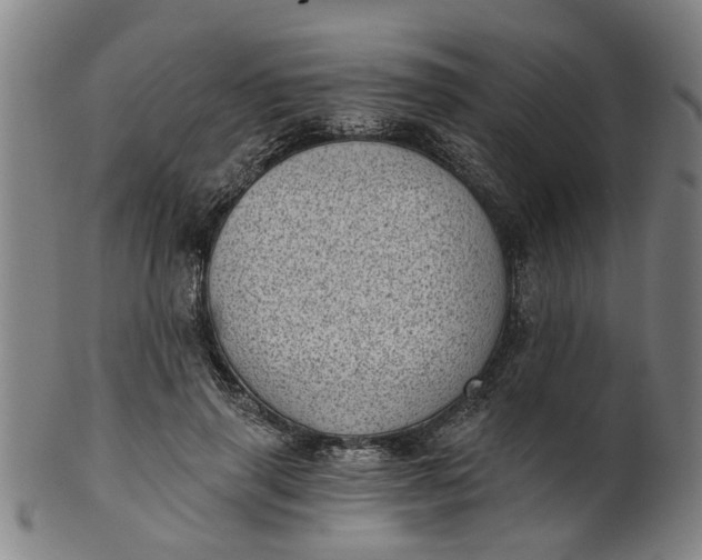 X0000101650645200807241356