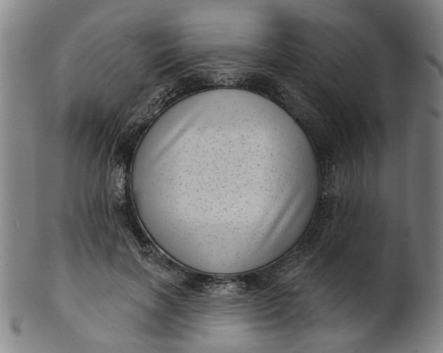 X0000101650646200807241356