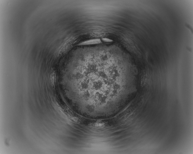 X0000101650647200807241356