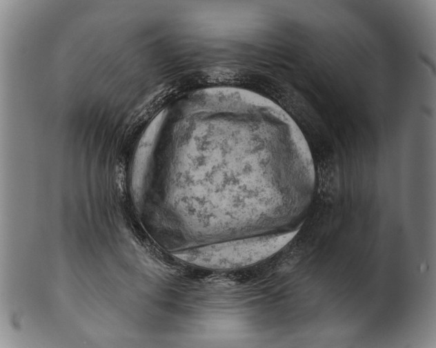 X0000101650648200807241356