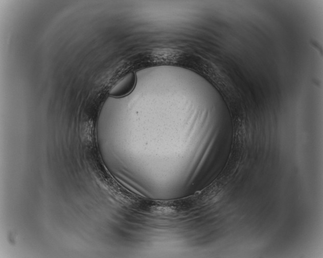 X0000101650649200807241356