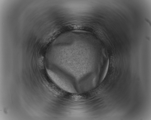 X0000101650650200807241356