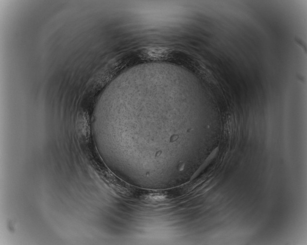 X0000101650651200807241356