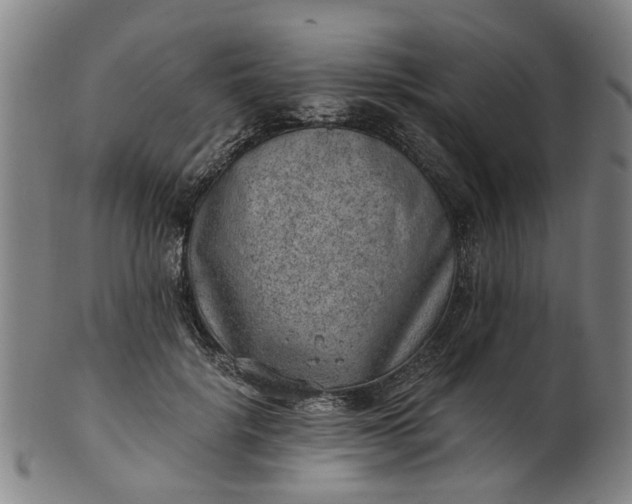 X0000101650652200807241356