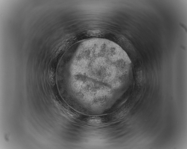 X0000101650653200807241356