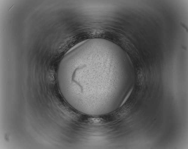 X0000101650654200807241356