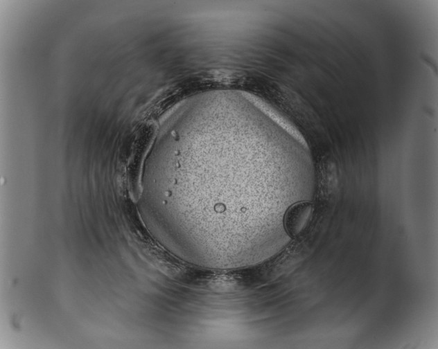 X0000101650656200807241356