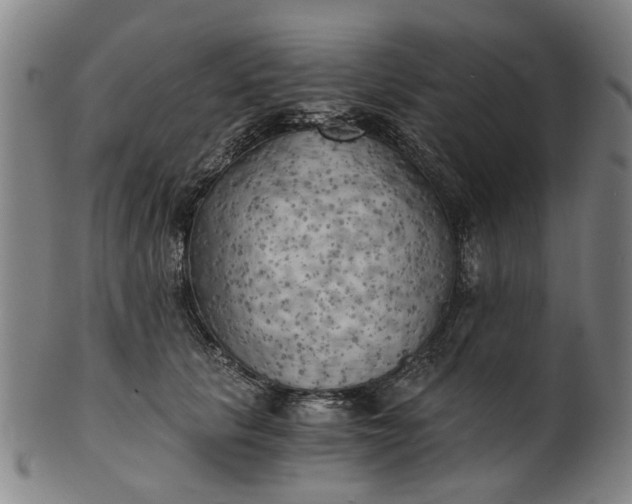 X0000101650657200807241356