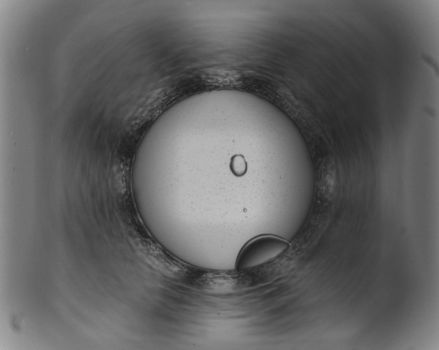 X0000101650658200807241356