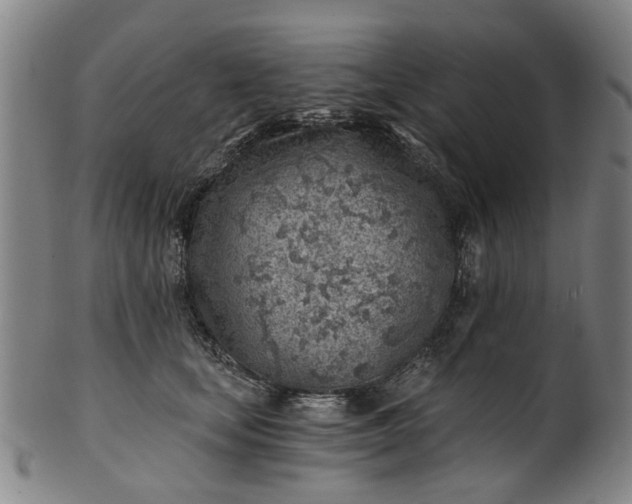 X0000101650659200807241356