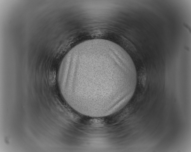 X0000101650660200807241356