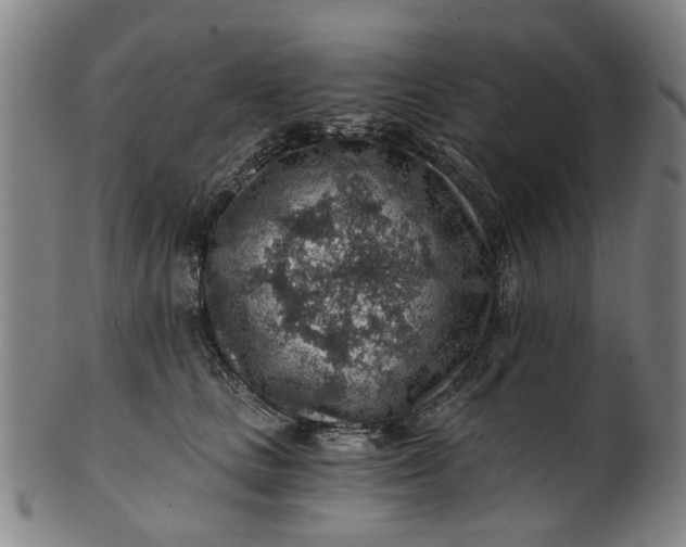 X0000101650661200807241356